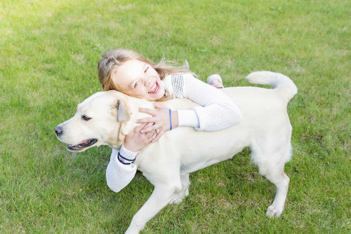 Labrador dog with child