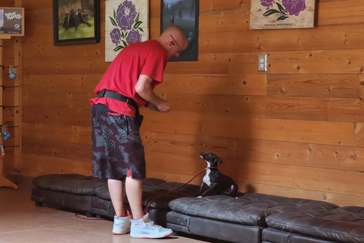 Desert Sky Home Away from Home Dog Boarding