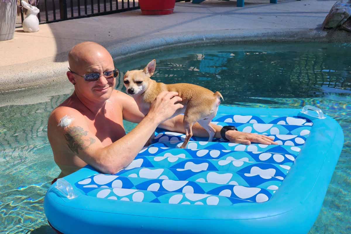 Dog Boarding Swimming Pool Play at Desert Sky K9