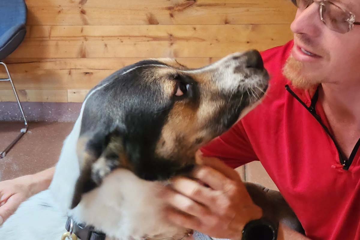 Positive Reinforcement at Desert Sky K9