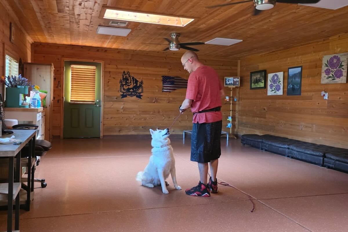 Winter dog training at Desert Sky K9