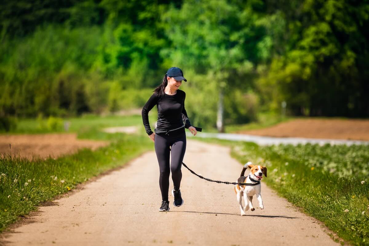 Hiking on Phoenix trails with your dog