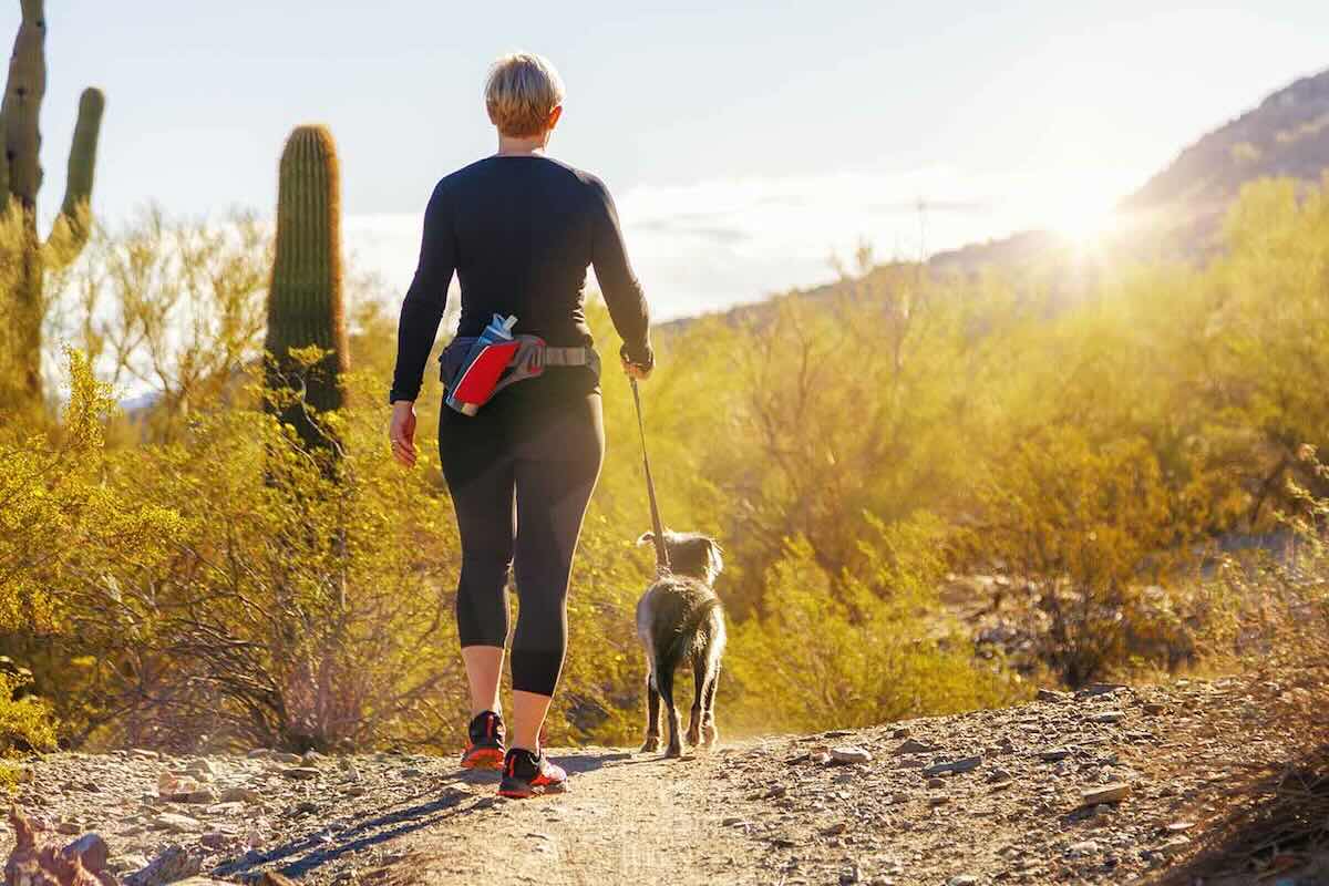 Hiking with Dog in Phoenix