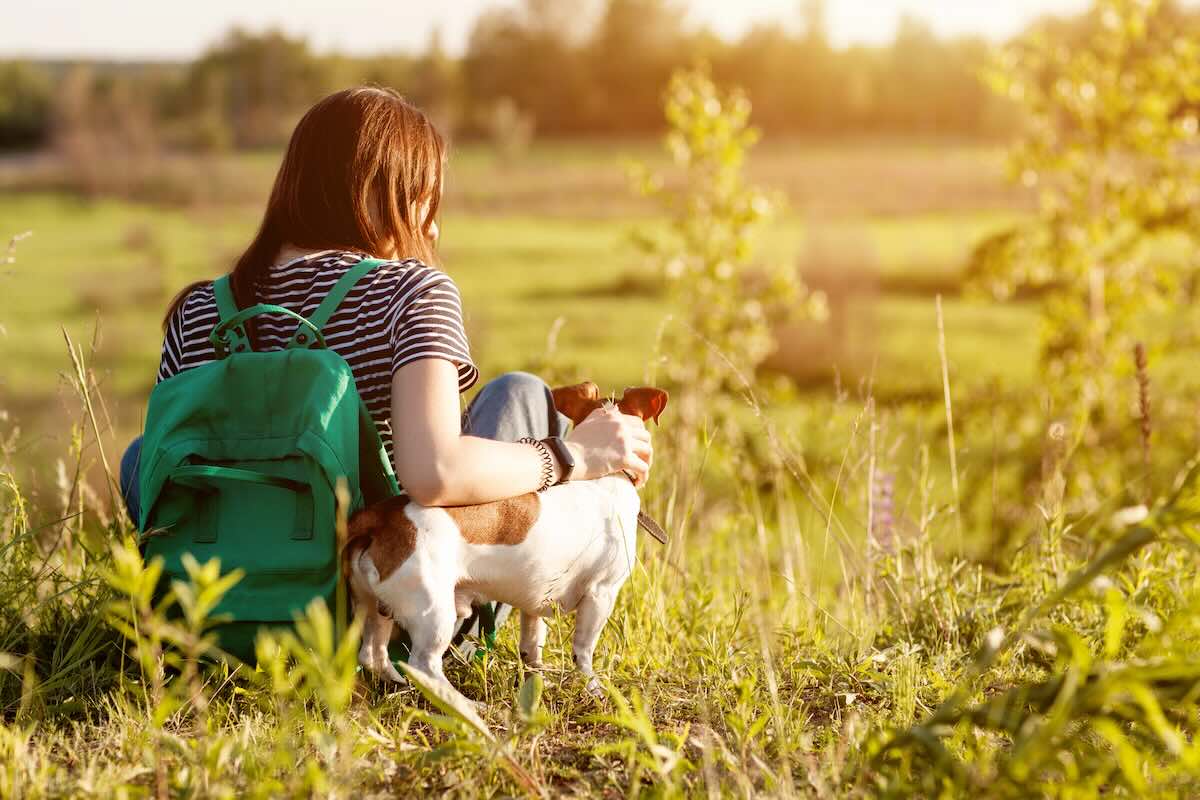 Well-behaved dog outdoors