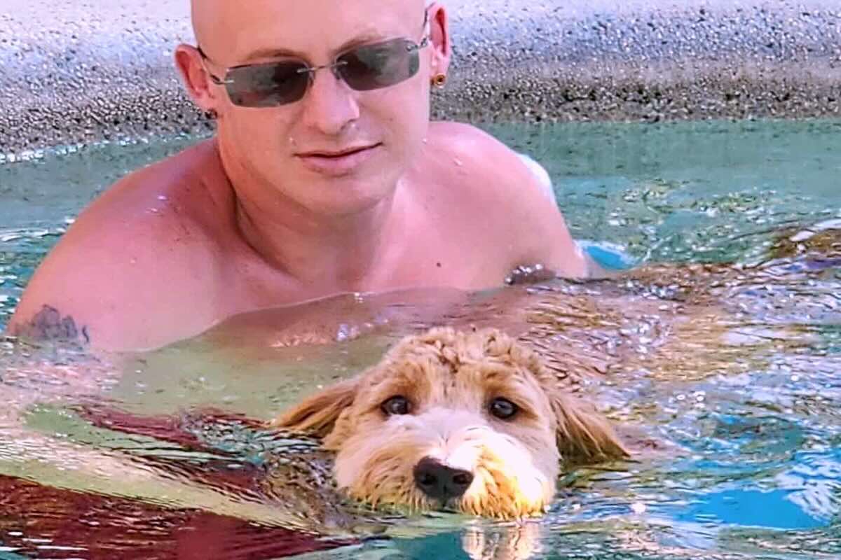 Water safety dog training at Desert Sky K9