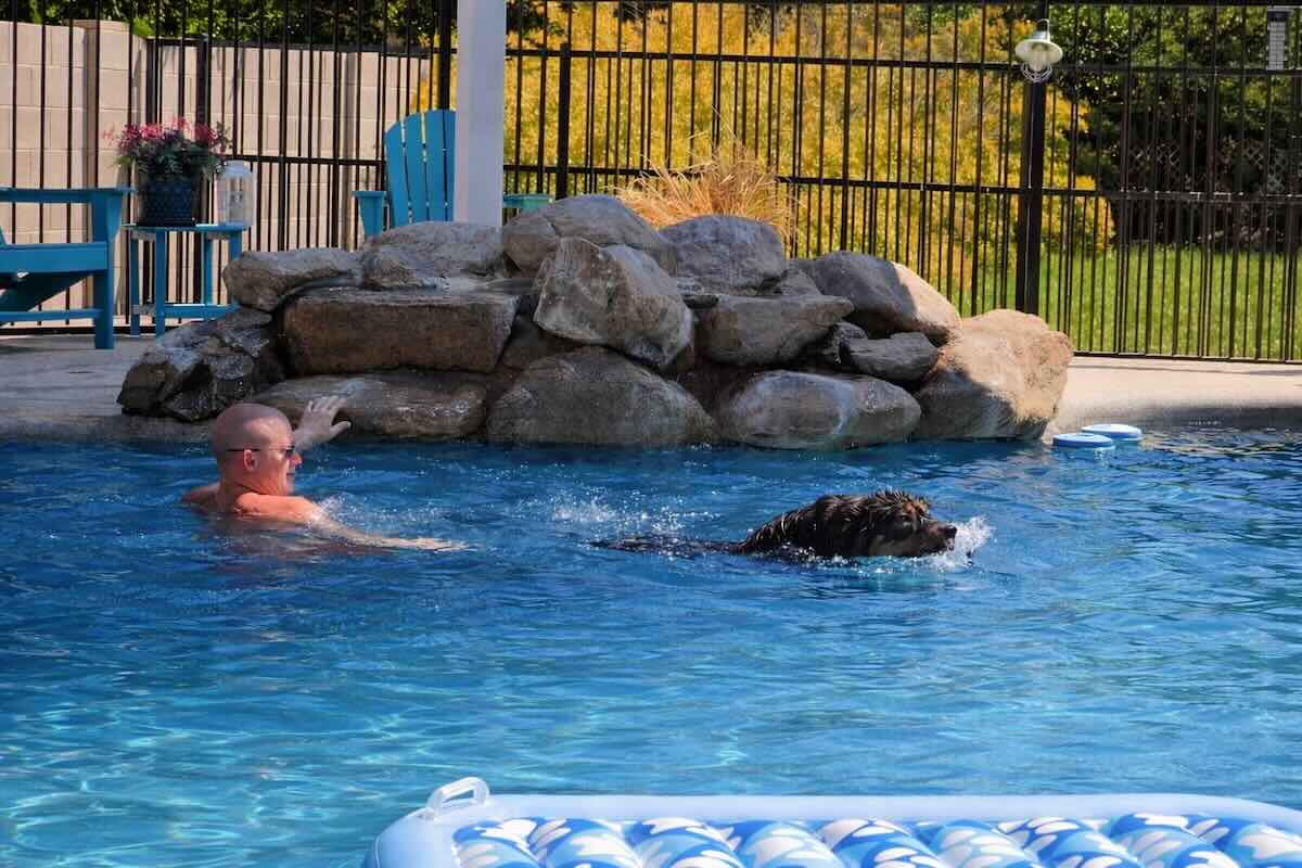 Water dog training at Desert Sky K9