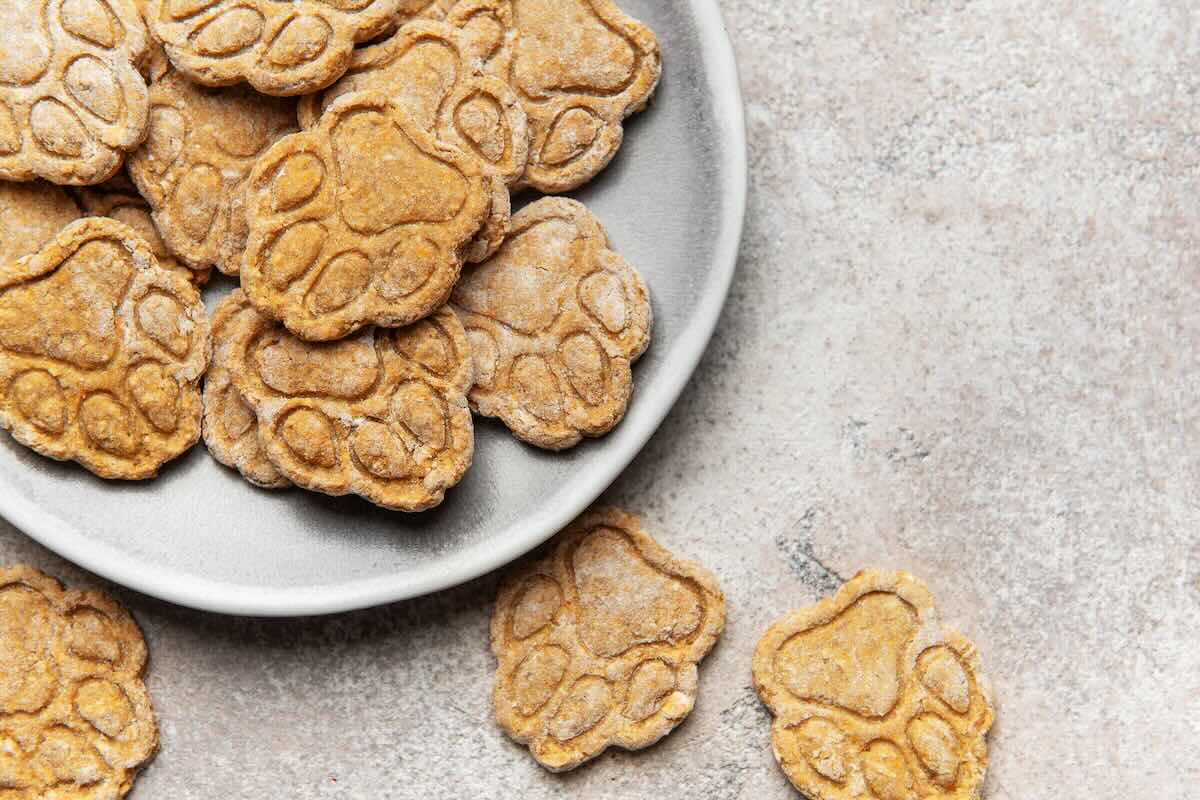 Homemade pawprint dog treats