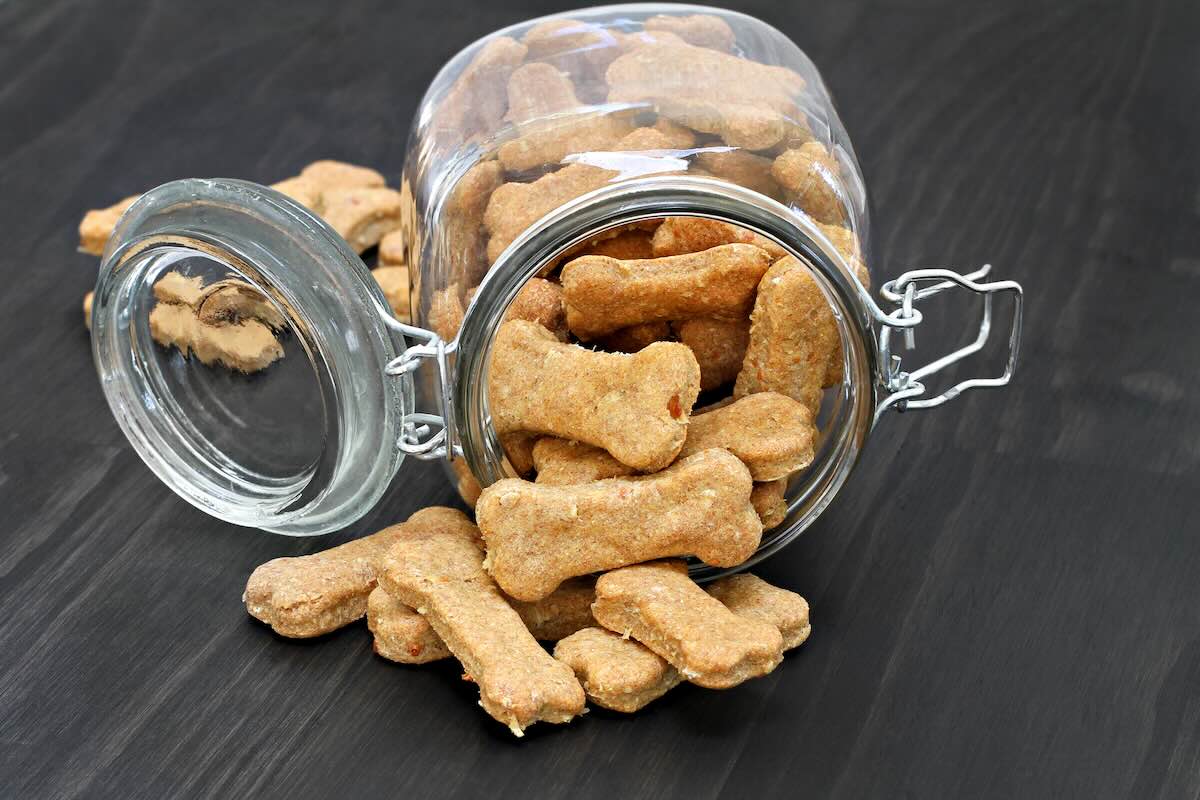 Storing homemade dog treats
